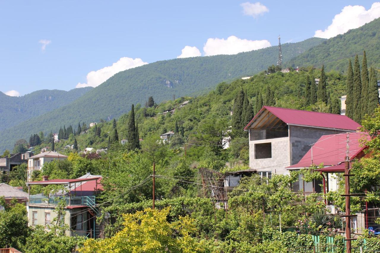Guest House Zvanba Gagra Exterior foto